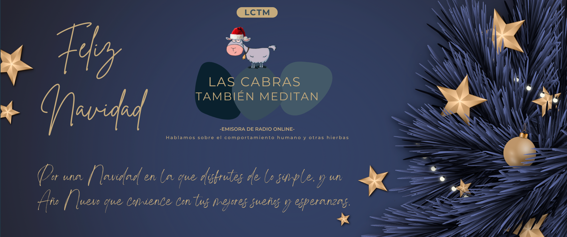 Canal de radio online